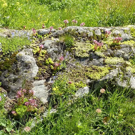 La Cordee Des Alpes Sup ヴェルビエール